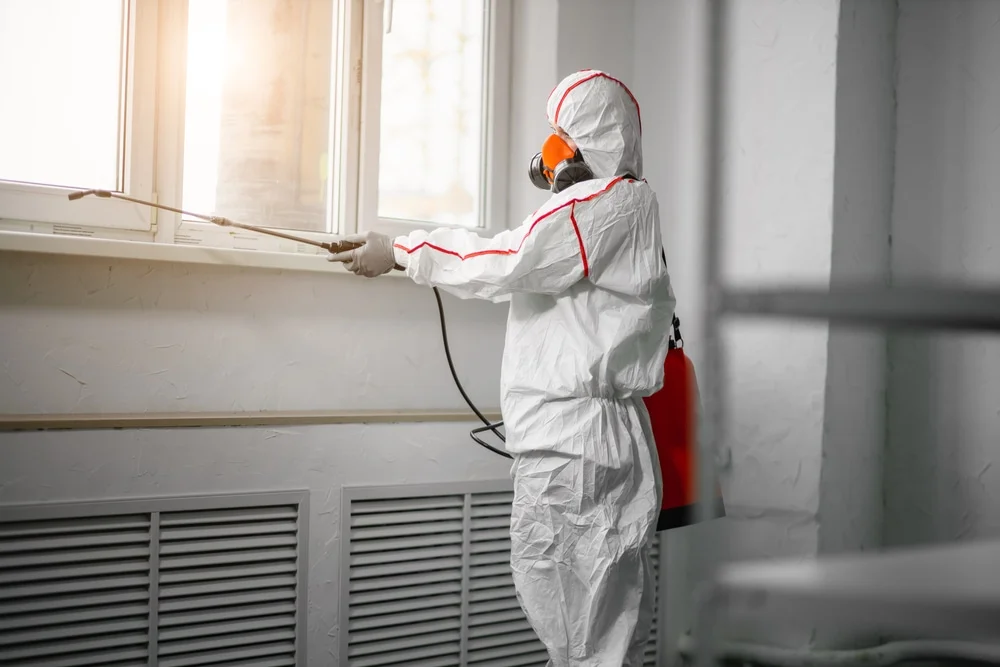Professional mold remediation services in Paauilo, HI